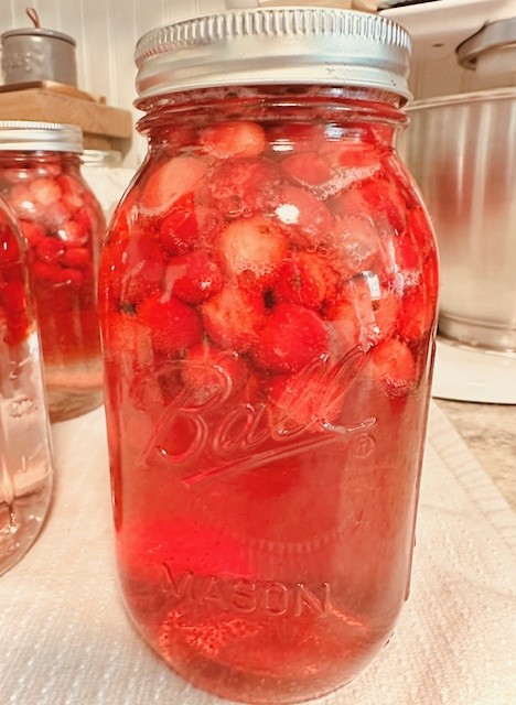 A Ruby-Red Treasure: How to Water Bath Can Cranberry Juice cranberry juice